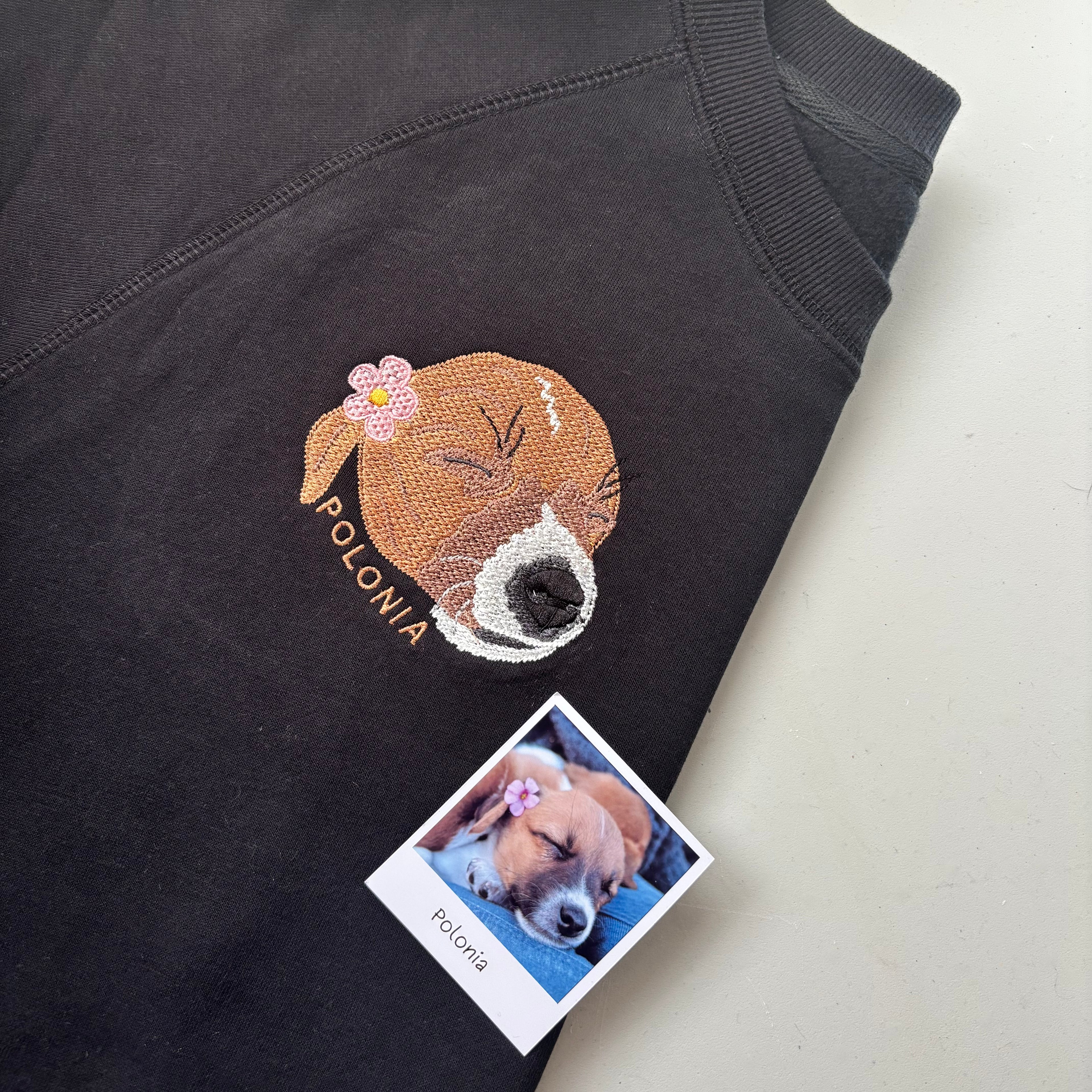 Buzo con mascota bordada a color