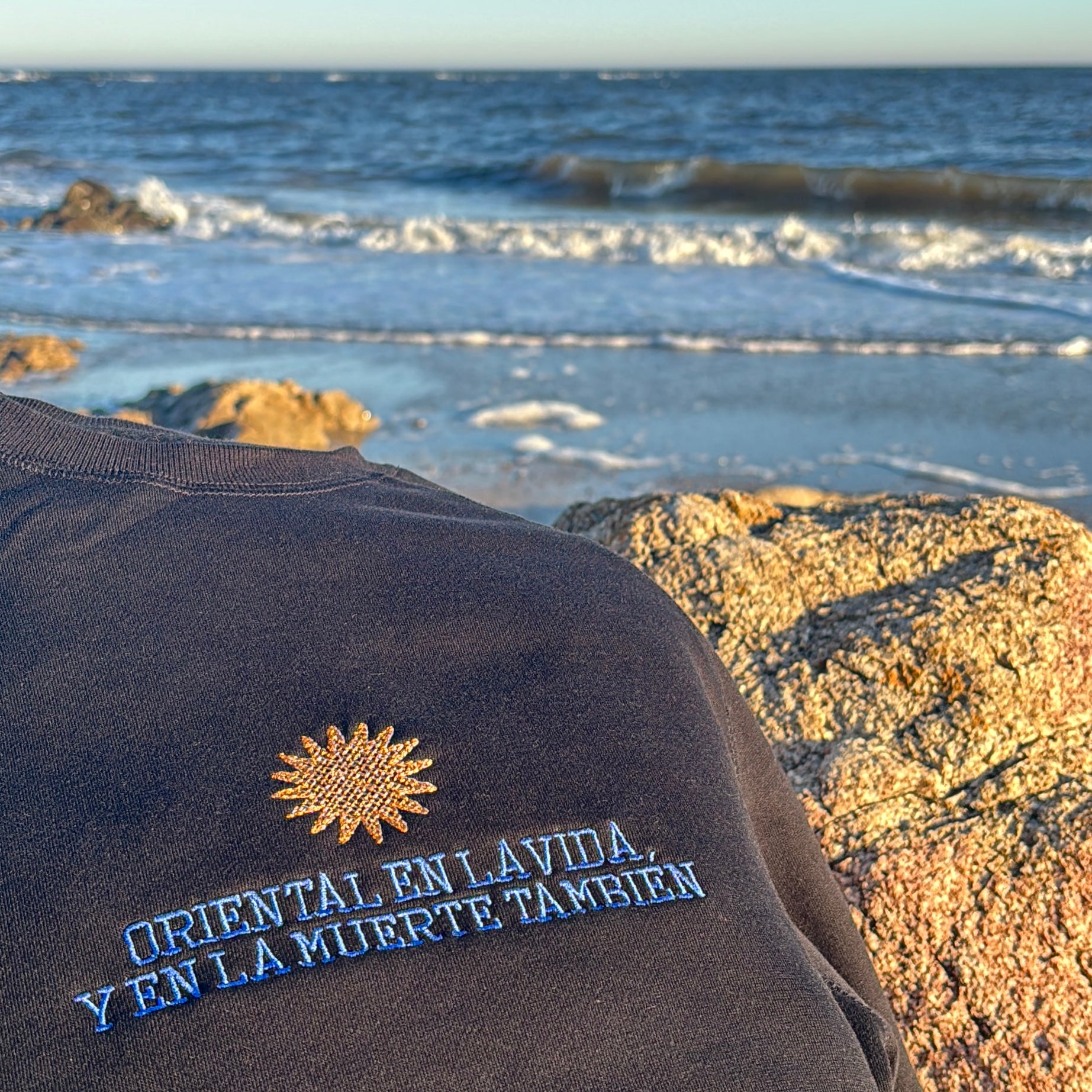 Buzo bordado "oriental en la vida"