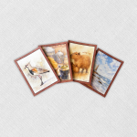 Kit de 4 postales uruguayas