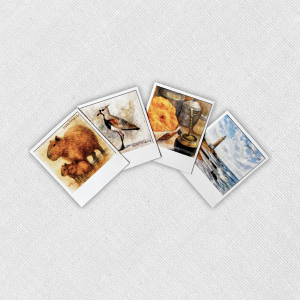 Kit de 4 imanes uruguayos